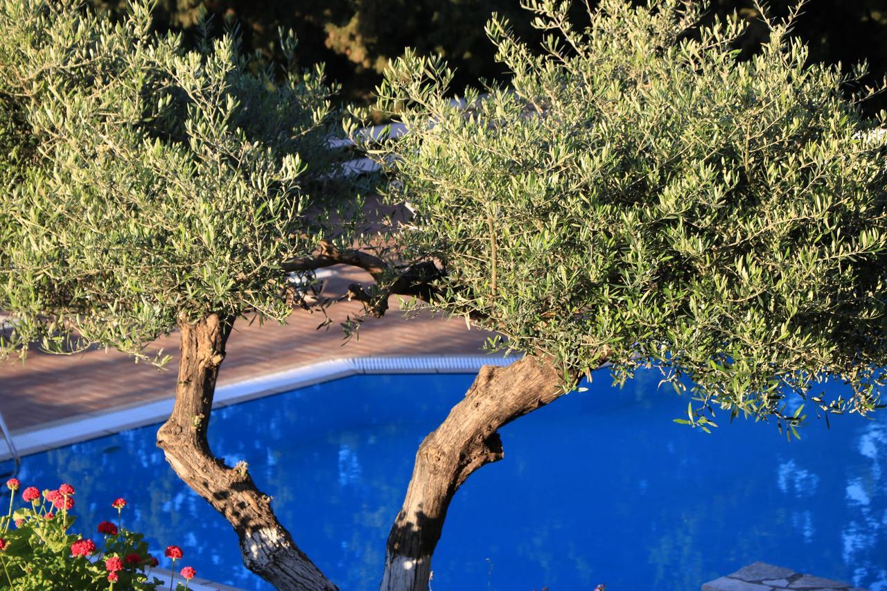 Myrto Homes Lefkada Greece Apartament *